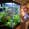 Digital Aquarium Thermometer view 3