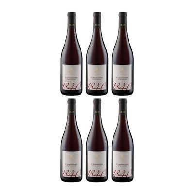 H. Lun St. Magdalener South Tyrol DOC Dry Red Wine, Italy, with FeinWert E-Book (6 x 0.75 L)