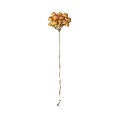 Dgayaeic Decoration for Spring Spiders - Magnetic Mushroom Shelf for Terrarium Setup