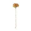 Dgayaeic Decoration for Spring Spiders - Magnetic Mushroom Shelf for Terrarium Setup view 1