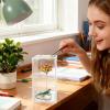 Dgayaeic Decoration for Spring Spiders - Magnetic Mushroom Shelf for Terrarium Setup view 2