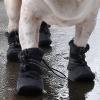 Dog Shoes - Waterproof Paw Protectors 4 Pack view 3