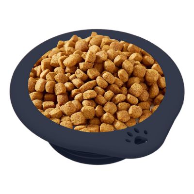 Portable Dog Water Bowl - 300ml Collapsible Bowl with Carabiner