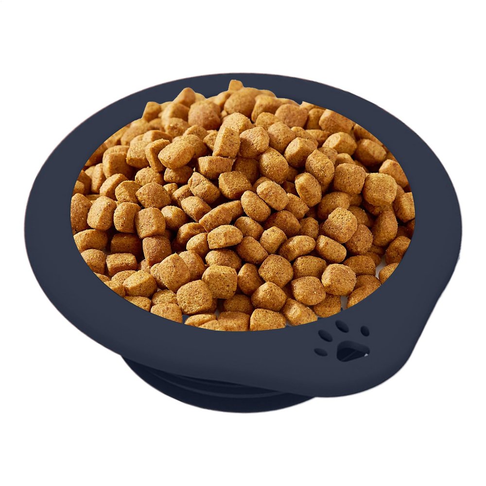 Portable Dog Water Bowl - 300ml Collapsible Bowl with Carabiner