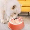 Laxreheye Leak-Proof Water Bowl for Cats, Slow-Drinking Floating Design view 2