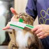 Cat Grooming Brush with Release Button view 2