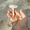 Enchanted Spider Mushroom Magnetic Habitat Accessory view 3