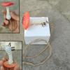 Habitat Accessories for Jumping Spiders - Magnetic Playground, Simulated Mushrooms view 2