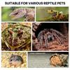 Terrarium Accessories for Springtails | Magnetic Ornament view 4