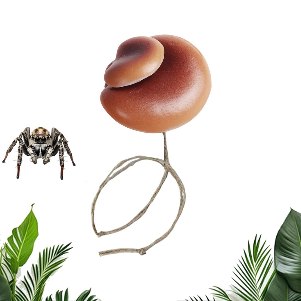 Spider Terrarium Accessories - Mushroom Design Decoration