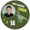 Edible Birthday Dinosaur Cake Topper with Custom Photo and Text (18 cm, Wafer) view 1