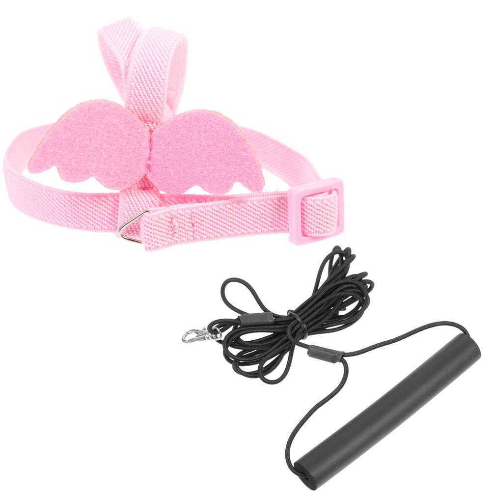 SOLUSTRE Parrot Flight Harness with Leash Set