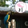 SOLUSTRE Parrot Flight Harness with Leash Set view 4