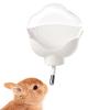 500 ml Hamster Water Bottle, Leakproof Drinking Dispenser view 1