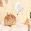 500 ml Hamster Water Bottle, Leakproof Drinking Dispenser view 2