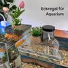 Aquarium Corner Plant Holder view 2