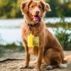 Dog Poop Bag Holder with Clip view 2