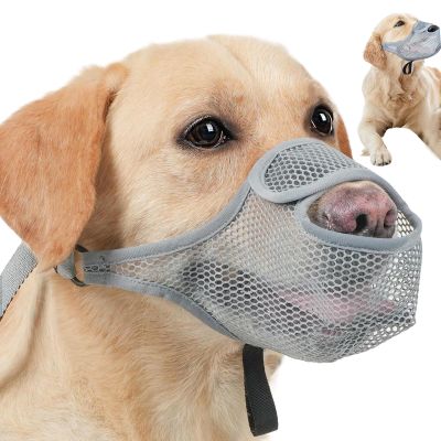 Dog Muzzle for Barking | Breathable, Washable