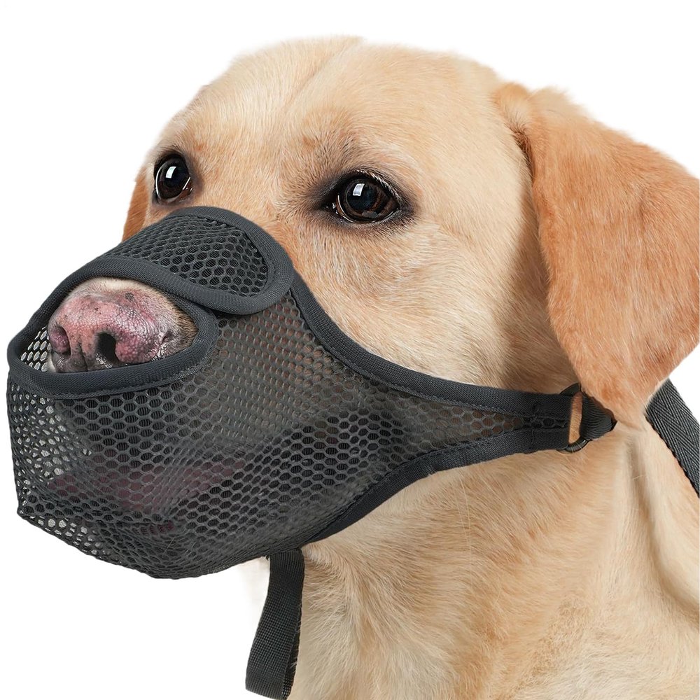 Dog Muzzle | Breathable, Washable, Adjustable Soft Mesh
