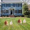 ifundom Chicken Perch for Pets and Chicks, Sturdy Wooden Chicken Stand, Brooder Supply and Bird Toy for Coop and Enclosure view 3