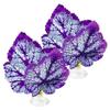 2-Piece Betta Fish Toy with Leaf Hammock view 1