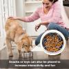 Slow Feeder Bowl for Dogs, Anti-Choking Feeding Mat view 2