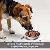 Slow Feeder Bowl for Dogs, Anti-Choking Feeding Mat view 3