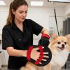 Pet Hair Removal Glove - Reusable & Electrostatic view 3