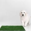 Alasum Reusable Dog Urine Mat with Realistic Artificial Grass view 4