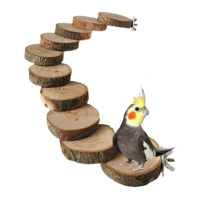 Parakeet Cage Ladder