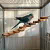 Parakeet Cage Ladder view 3