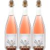 Georg Preisinger Winery Now or Never Organic Brut Rosé Pet-Nat from Austria incl. FeinWert E-Book (3 x 0.75 L) view 1