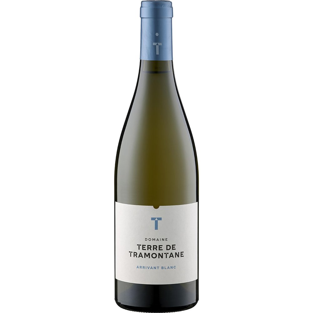 Terre de Tramontane Arrivant Blanc AOP Dry Organic White Wine, France, with FeinWert E-Book (1 x 0.75 L)