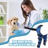 yupeuooe Orthopedic Support for Dogs | Adjustable Support Brace for view 2