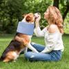 Qoukonao Dog Neck Collar, Comfortable Donut Collar view 2