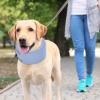 Qoukonao Dog Neck Collar, Comfortable Donut Collar view 3
