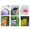 Budgie Bath with Splash-Proof Design view 4