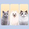Cat Brush for Indoor Cats view 4