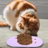 Reusable Non-Slip Leakproof Silicone Mat for Dogs view 2