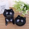 Yctze Pet Bowl for Dogs and Cats - Non-Slip Design view 3