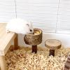 Natural Wood Small Pet Bowl view 4
