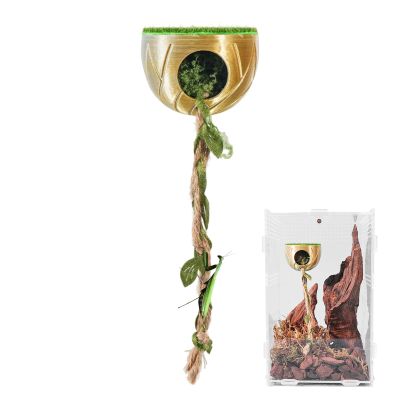 Spider Enclosure Decor for Terrariums