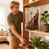 Spider Enclosure Decor for Terrariums view 2