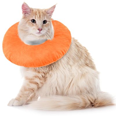 Cat Recovery Collar, Adjustable Anti-Lick Collar, Orange, L