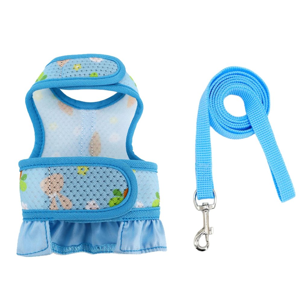 Btgghytr Harness and Leash for Small Pets with Carrot Pattern