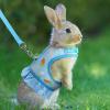 Btgghytr Harness and Leash for Small Pets with Carrot Pattern view 3