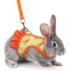 Btgghytr Harness and Leash for Small Pets with Carrot Pattern view 4