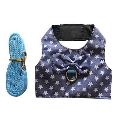 Pet Harness and Leash Set