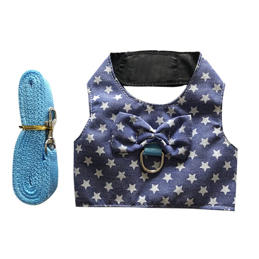 Pet Harness and Leash Set