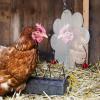 Chicken Toy & Coop Decoration view 3